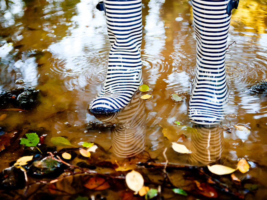 plaisirs d'automne