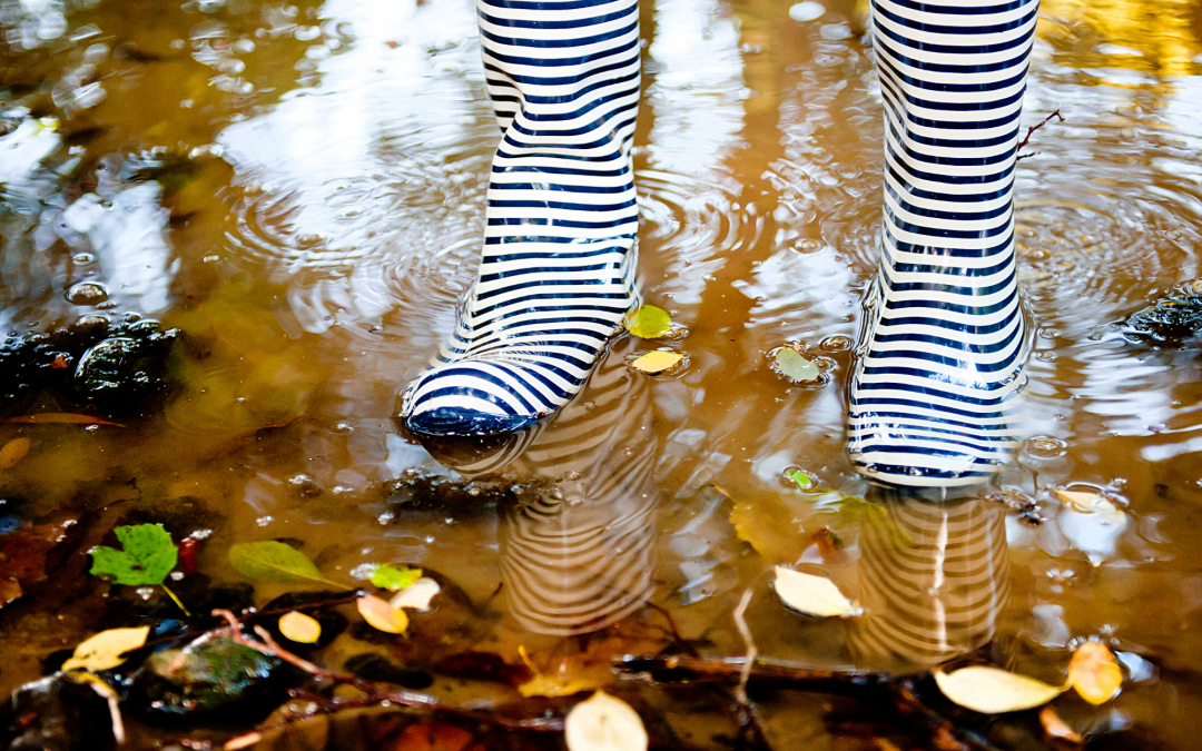 plaisirs d'automne